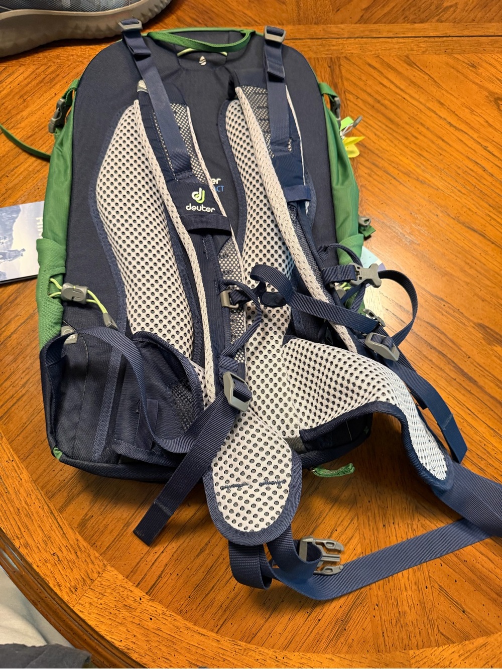Deuter Men's Green & Navy Hiking Backpack with Mesh Back